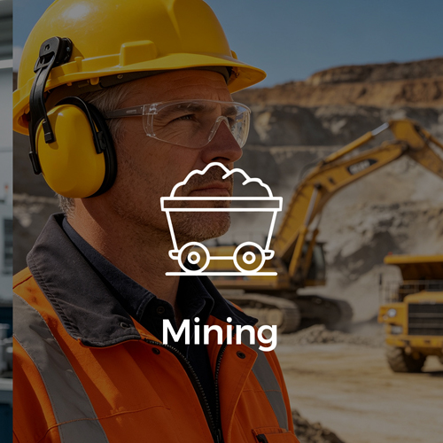Miner&iacute;a
