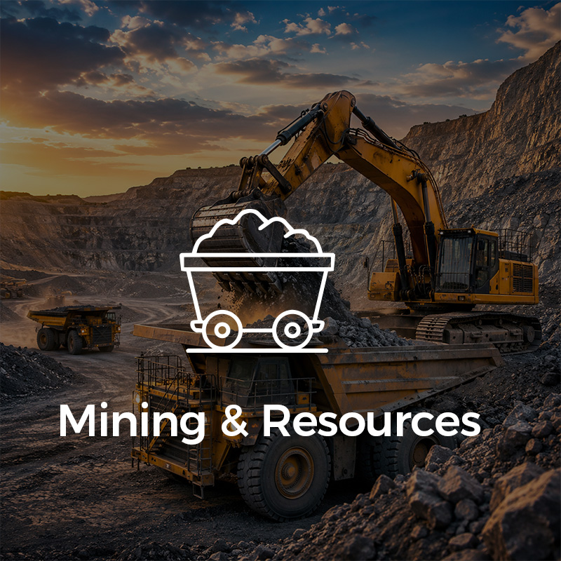 Miner&iacute;a